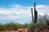 Photo for Buckeye, AZ Homes for Sale