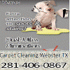Photo for TX Webster Carpet Cleaning