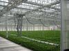 Photo for Europe Smart Greenhouse Irrigation System Market Report 2016