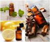 Photo for Essential Oil Market is Estimated to Reach $11.5 billion, Globally, by 2022