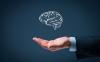 Photo for Why you need an intellectual property lawyer?