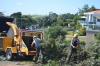 Photo for Urban Tree Surgeons
