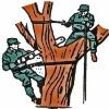 Photo for JFL Tree Service
