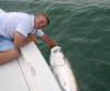 Photo for Clearwater Inshore Fishing LLC