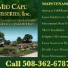 Photo for Mid Cape Nurseries Inc