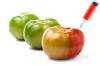 Photo for Genetically Modified Organisms Market expected to show steady growth by 2020