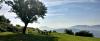 Photo for Get Away to Write - Spain