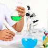 Photo for Carbamate Insecticides Market Expected to Dominate Worldwide by 2026