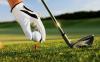 Photo for Global Golf Stick Market Research Report 2017