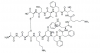 Photo for Somatostatin