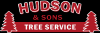 Photo for Hudson Tree Service