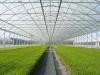Photo for Commercial Greenhouse Market - Global Trends & Forecasts to 2020