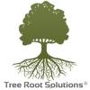Photo for Tree Root Solutions, LLC