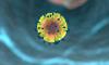 Photo for Global CAR T Cell Therapy Market to Reach US$ 8.5 Billion by 2028 : Coherent Market Insights