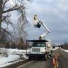 Photo for Edwards Tree & Land Clearing Services Inc