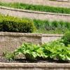 Photo for Scherry Krewson Landscape Maintenance LLC