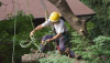 Photo for Atlanta Tree Company