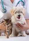 Photo for Animal Parasiticides Market – Global Industry Insights, Trends and Opportunity Analysis, 2016-2024