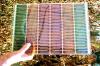 Photo for Global Dye Sensitized Solar Cell Market Research Report 2017