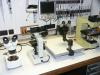 Photo for Laboratory Information Management Systems(LIMS) Market to Surpass US$ 2.2 Billion by 2024