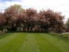 Photo for The Most Important Things to Consider When Planning a Funeral
