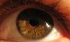 Photo for Global Retinal Implants Sales Market Report 2017