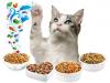 Photo for Global Pet Cat Food Sales Market Report 2017