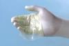 Photo for United States Regenerative Artificial Skin Market Report 2017