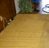 Photo for Qwik Dry Carpet & Tile Cleaning Service