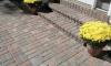 Photo for Pavestone Paver Guys