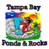 Photo for Tampa Bay Ponds & Rocks