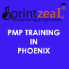 Photo for PMP Training in Phoenix