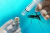 Photo for Global Dengue Vaccines Market Industry Insights 2024