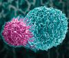 Photo for CAR T Cell Therapy Market, By Targeted Antigen, Therapeutic Application, Geography - Trends, Analysis & Forecast 2028