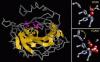 Photo for peptide synthesis service