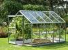 Photo for Annual 14.12% Growth expected for Global Smart Greenhouse Market by 2022
