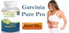 Photo for http://www.healthproducthub.com/garcinia-pure-pro-reviews/