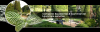 Photo for Williams Lawn Care & Landscaping, Inc.