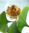 Photo for Global Ginkgo Biloba Extract Market 2016 Industry Trends, Sales, Supply, Forecast to 2021
