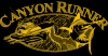 Photo for Canyon Runner Sport Fishing