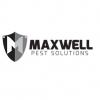 Photo for Maxwell Pest Solutions