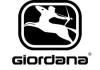 Photo for Giordana Orica-Scott Vero PRO Team Bib Short | Classic Cycling 2017