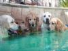 Photo for Hot Tub Installation Guys