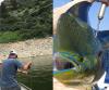 Photo for Brooks Fishing and Hunting Guide