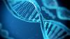 Photo for 2017-2022 Global Top Countries Human Micobiome Market Report