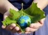 Photo for Global Bioplastics & Biopolymers Market continuous to increase by 2024
