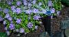 Photo for Pro Irrigation Systems