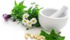 Photo for Europe Herbal Medicine Market Report 2017