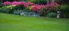 Photo for Lawn Care Team