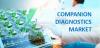 Photo for Companion Diagnostics Market to Surpass US$ 5.0 Billion by 2024 : Coherent Market Insights